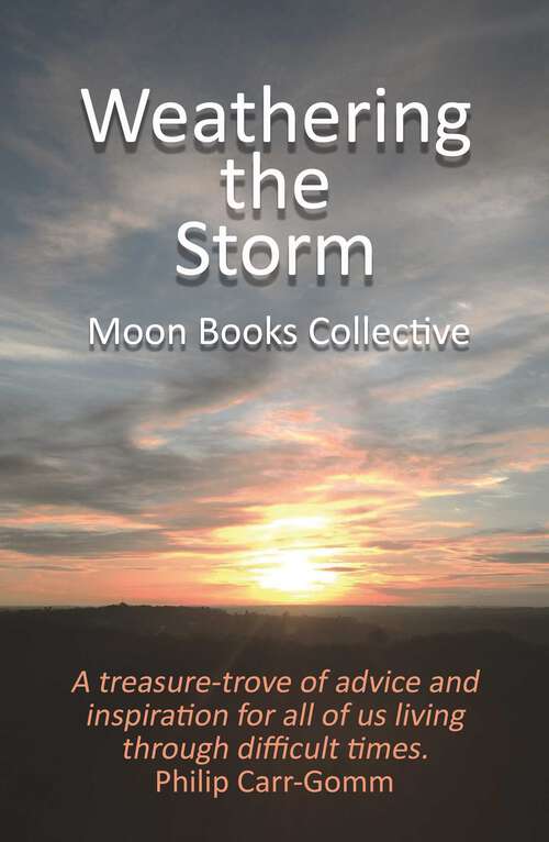 Book cover of Weathering the Storm