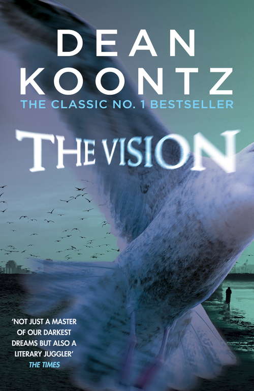 Book cover of The Vision: A gripping thriller of spine-tingling suspense
