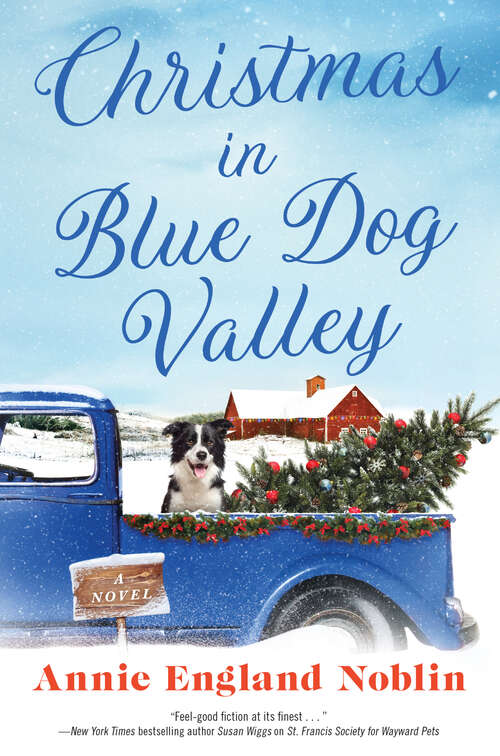 Book cover of Christmas in Blue Dog Valley: A Novel