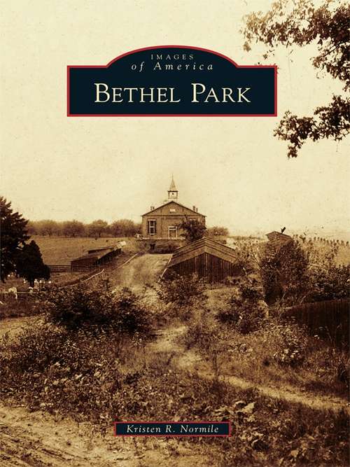 Book cover of Bethel Park