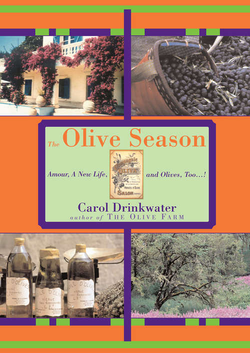 Book cover of The Olive Season