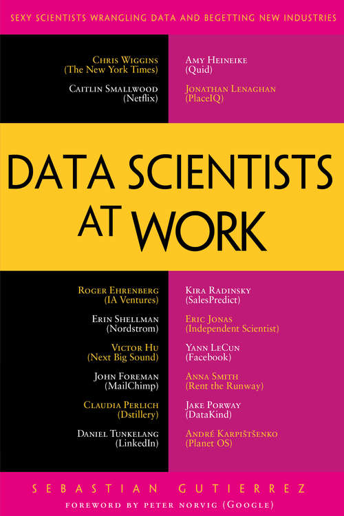 Book cover of Data Scientists at Work