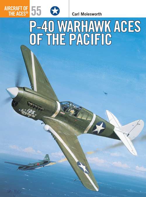 Book cover of P-40 Warhawk Aces of the Pacific