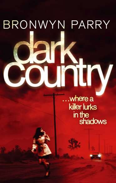Dark Country: Number 2 in series (Dungirri #2)