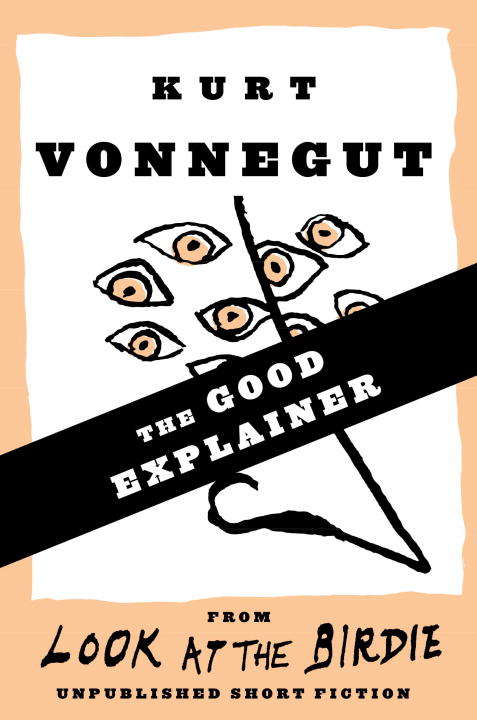Book cover of The Good Explainer