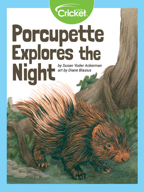 Book cover of Porcupette Explores the Night