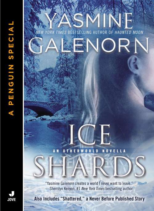 Book cover of Ice Shards