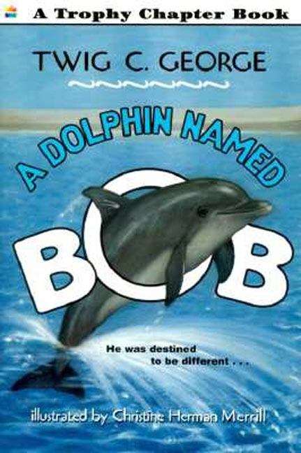 Book cover of A Dolphin Named Bob