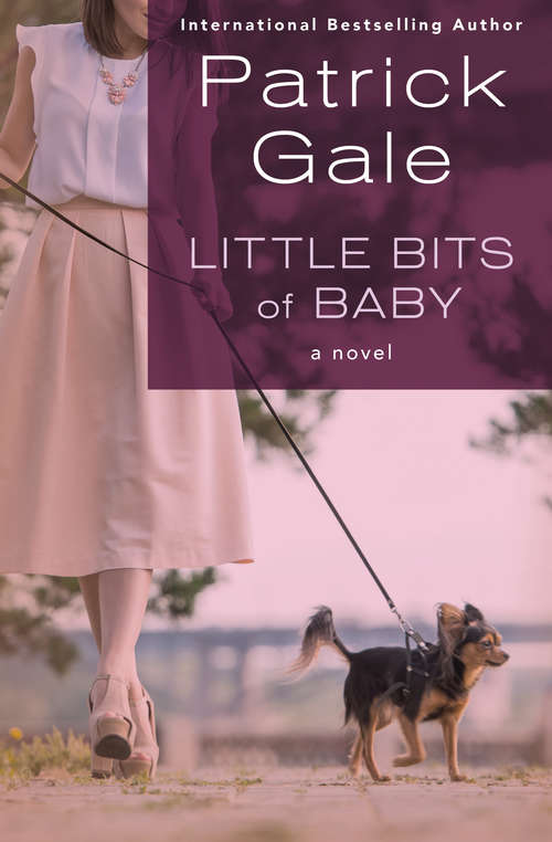 Little Bits of Baby: A Novel