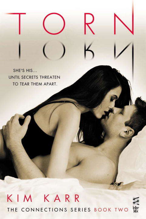 Book cover of Torn