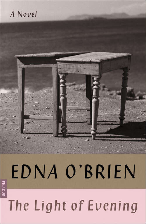 Book cover of The Light of Evening: A Novel