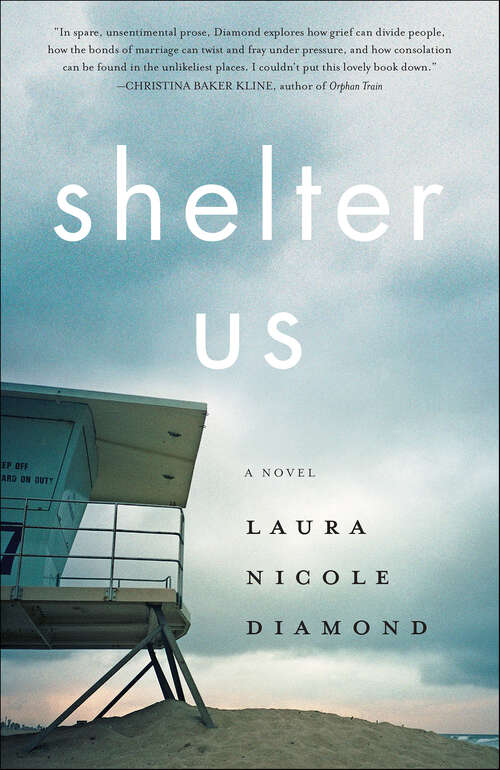 Book cover of Shelter Us: A Novel