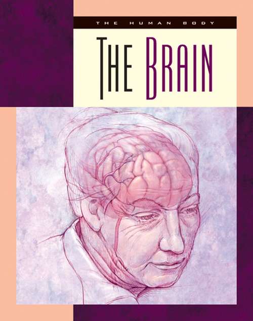 Book cover of The Brain