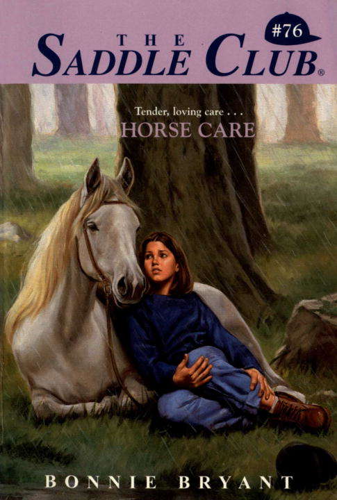 Book cover of Horse Care (Saddle Club #76)
