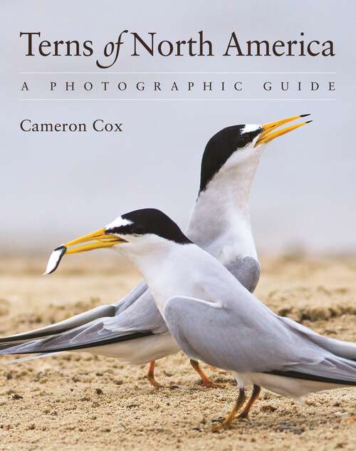 Book cover of Terns of North America: A Photographic Guide