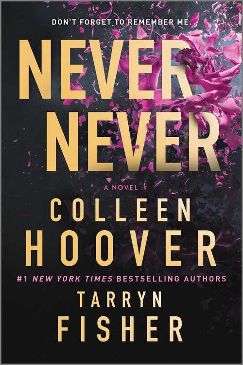 Book cover of Never Never: A twisty, angsty romance (Original)