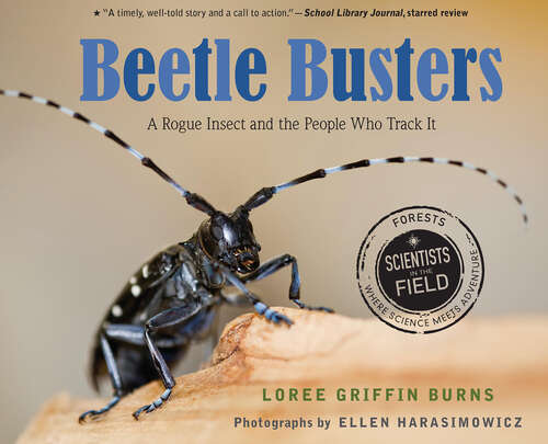 Book cover of Beetle Busters: A Rogue Insect And The People Who Track It (Scientists in the Field)