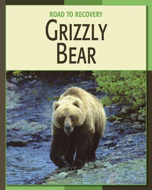 Book cover of Grizzly Bear (21st Century Skills Library: Road To Recovery)
