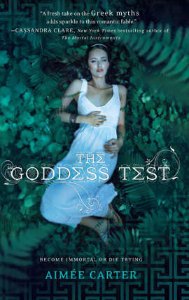 Book cover of The Goddess Test