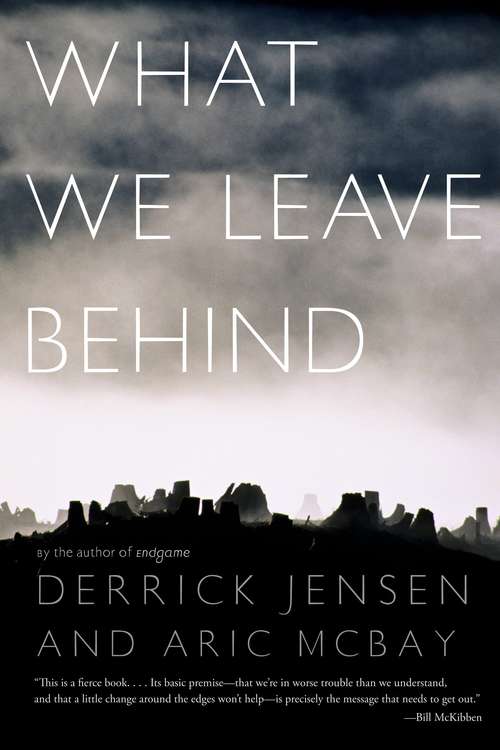 Book cover of What We Leave Behind