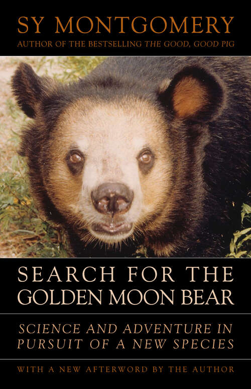 Book cover of Search for the Golden Moon Bear: Science and Adventure in Pursuit of a New Species