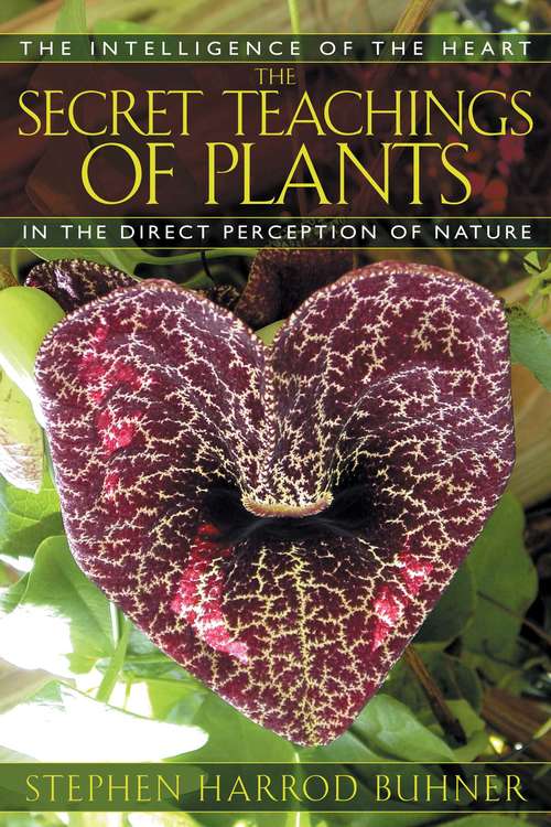 Book cover of The Secret Teachings of Plants: The Intelligence of the Heart in the Direct Perception of Nature