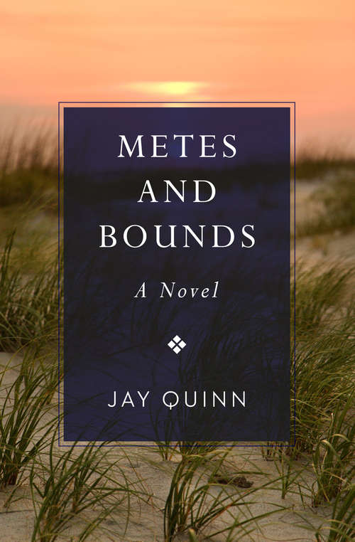 Metes and Bounds: A Novel (Southern Tier Ser.)