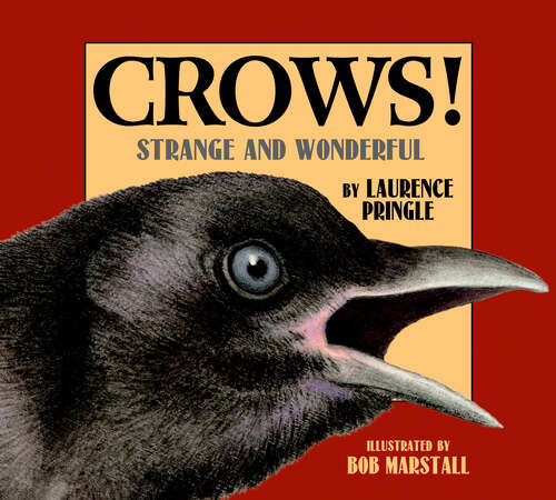 Book cover of Crows!: Strange and Wonderful (Strange and Wonderful)