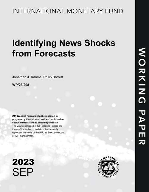 Book cover of Identifying News Shocks from Forecasts (Imf Working Papers)