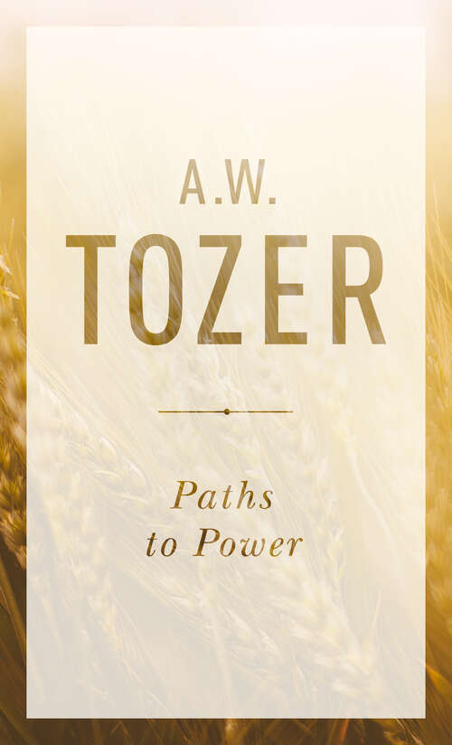 Book cover of Paths to Power: Living in the Spirit's Fullness (New Edition)