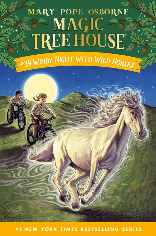 Book cover of Windy Night with Wild Horses (Magic Tree House (R) #39)