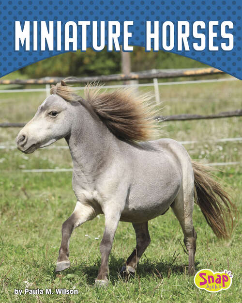 Book cover of Miniature Horses (Cute And Unusual Pets Ser.)