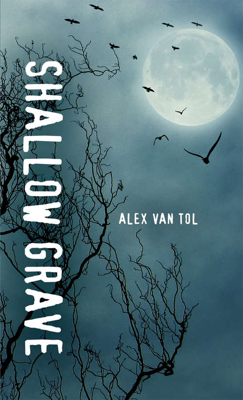 Book cover of Shallow Grave (Orca Soundings)