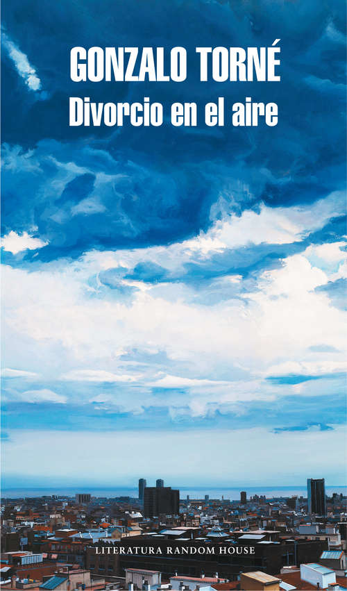 Book cover of Divorcio en el aire