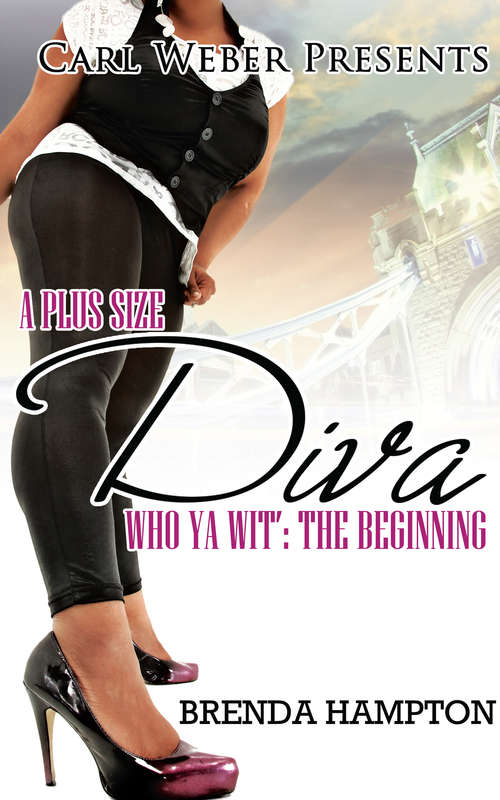 Book cover of A Plus Size Diva: The Beginning
