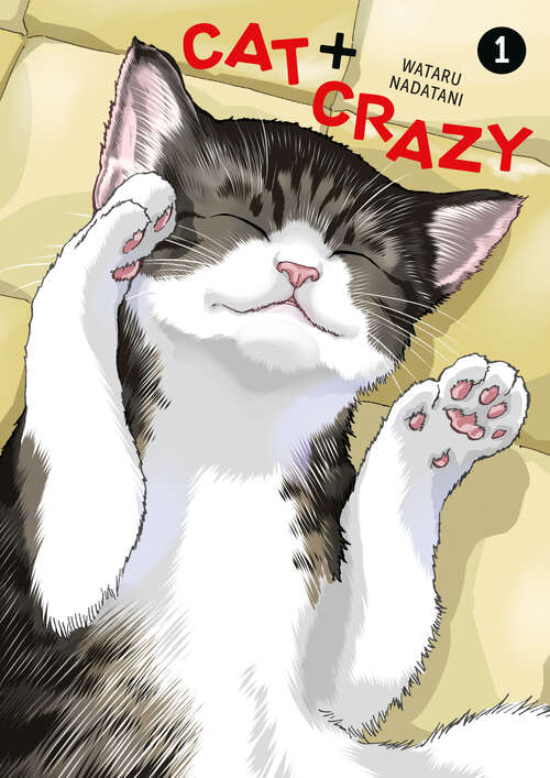 Book cover of Cat + Crazy Volume 1 (Cat + Crazy)