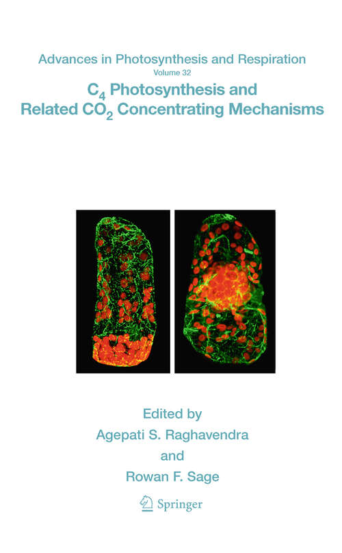 C4 Photosynthesis and Related CO2 Concentrating Mechanisms (Advances in Photosynthesis and Respiration #32)