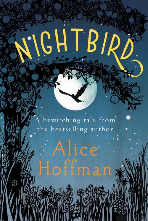 Book cover of Nightbird