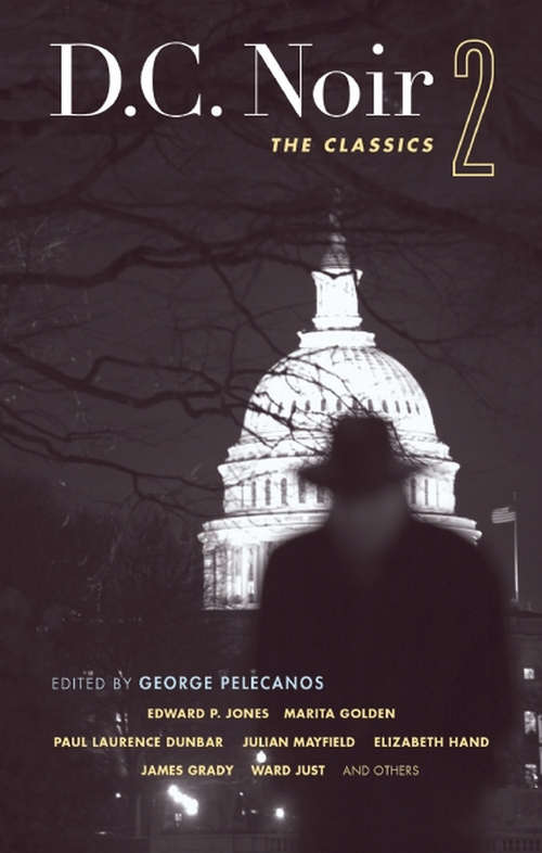 Book cover of D.C. Noir 2