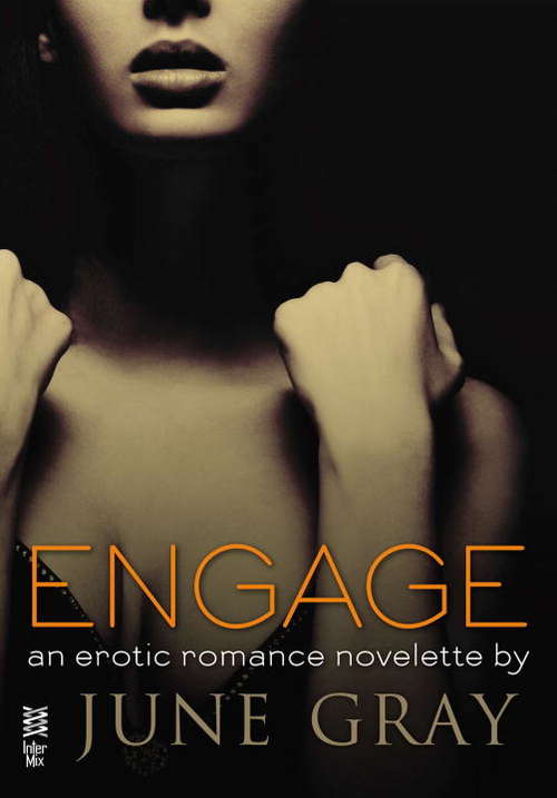 Book cover of Engage (Disarm #5)