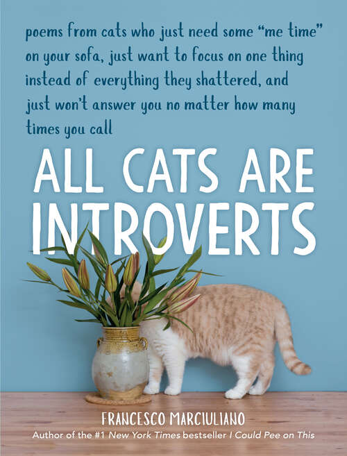 Book cover of All Cats Are Introverts