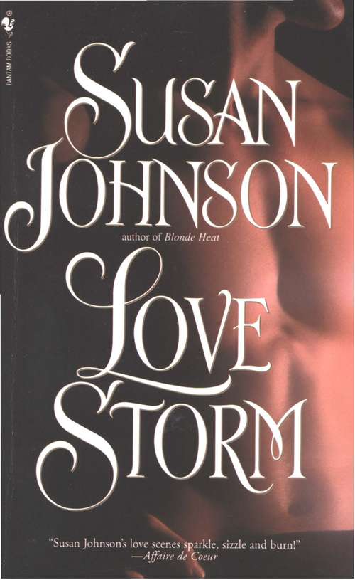 Book cover of Love Storm