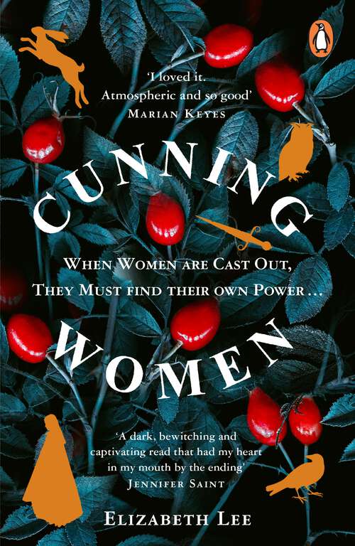 Book cover of Cunning Women: A feminist tale of forbidden love after the witch trials