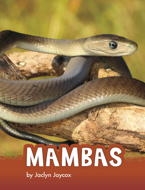 Book cover of Mambas (Animals)