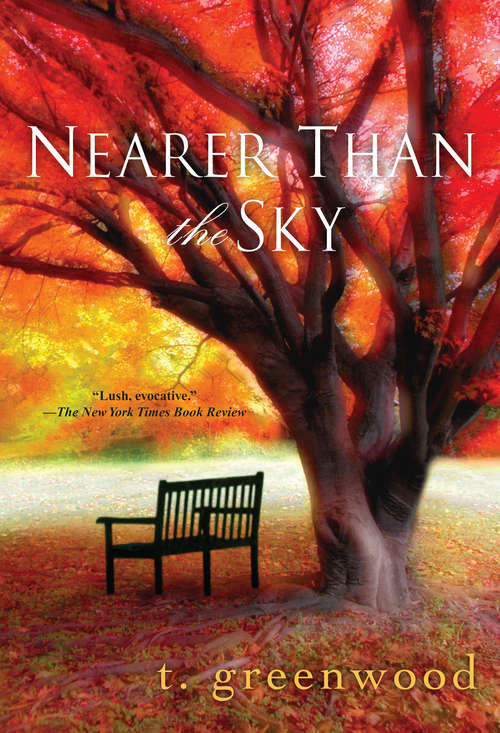 Book cover of Nearer Than The Sky
