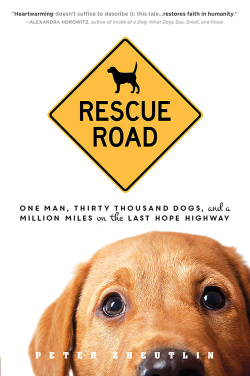 Book cover of Rescue Road