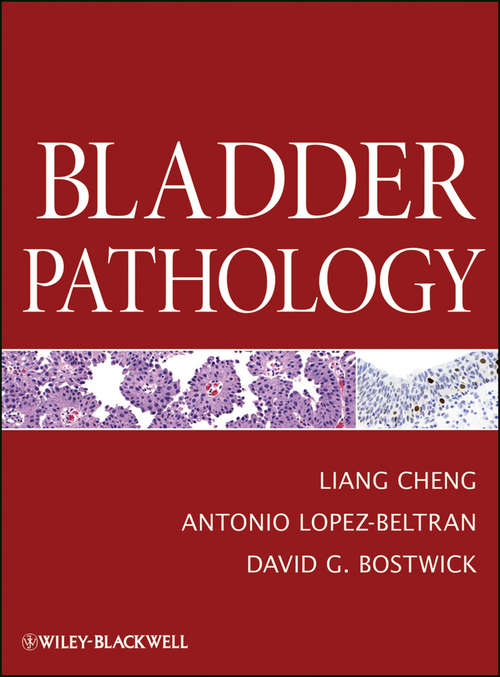 Bladder Pathology: An Algorithmic Approach