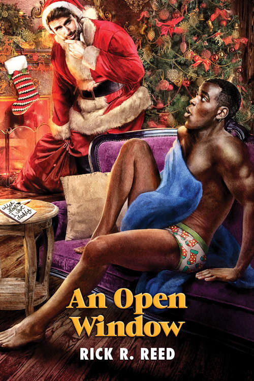 Book cover of An Open Window (2017 Advent Calendar - Stocking Stuffers)
