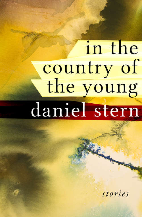 Book cover of In the Country of the Young
