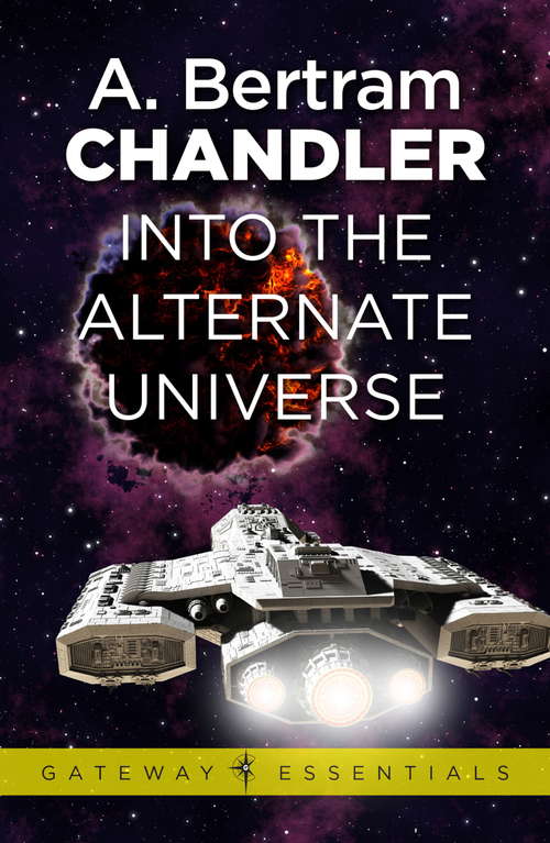 Book cover of Into the Alternate Universe (John Grimes)